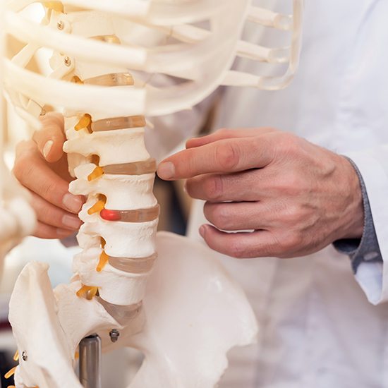 Chiropraticien et colonne vertebrale